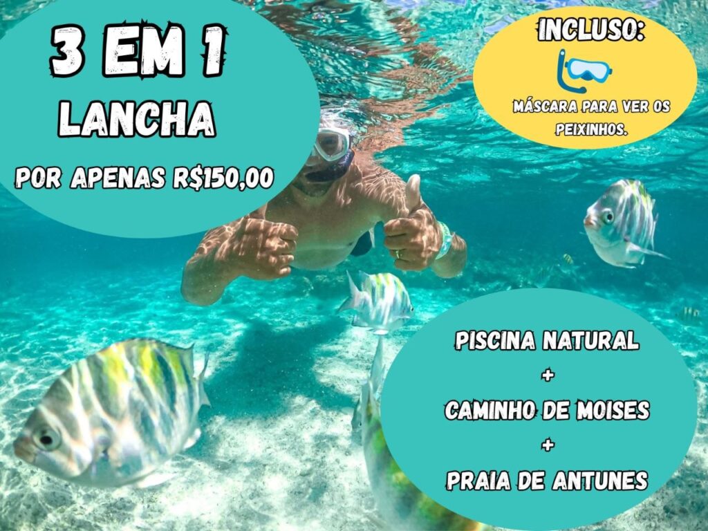 photo 4965732323559148713 y